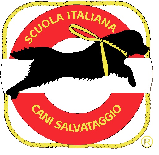 Scuola cani salvataggio 1