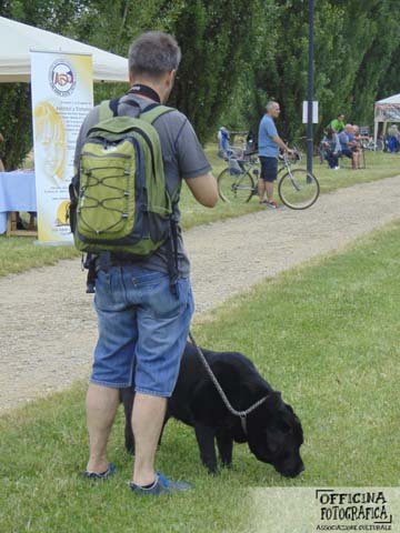 Le foto della festa 2015